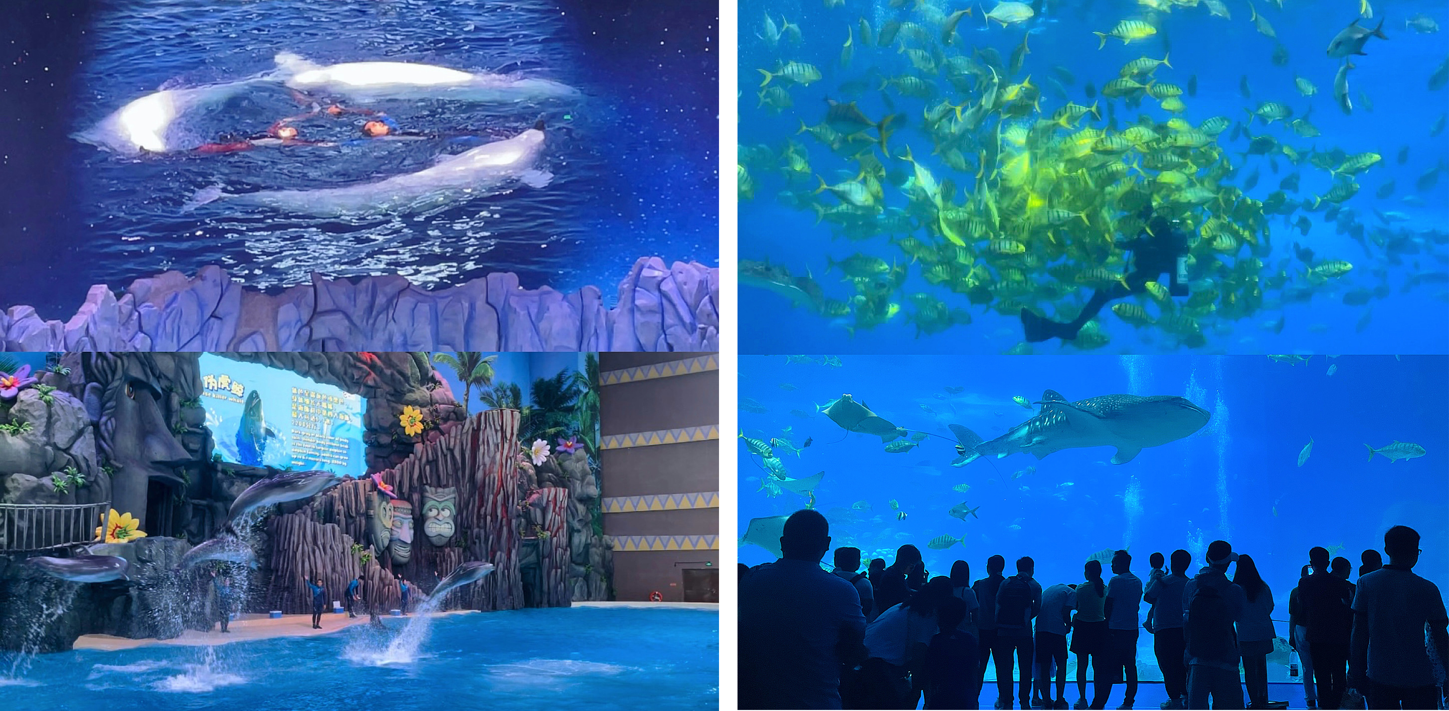 微信图片_20230825105638